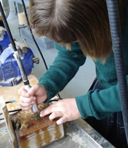 A Karamu High student working with the resources from Havelock North High School