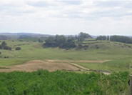 Sowing new pastures in place of maize