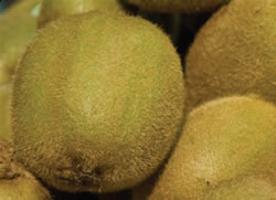 Kiwifruit