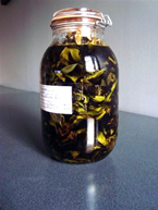 A jar of tincture of echinacea, well-known for its therepeutic properties