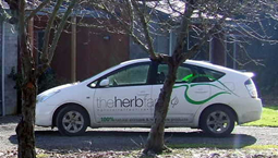 Global HQ eco-friendly car