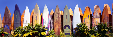 Boards on the beach