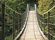 Wooden bridge