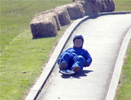 A student riding his luge down the track